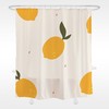 Lovely Lemon Shower Curtain for Funny Fruit Bathroom Decor - Shower Curtain Ideas