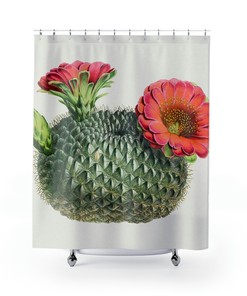 Lovely Pink Flower Cactus Plant Green Natural Bathroom Vintage Art Shower Curtain