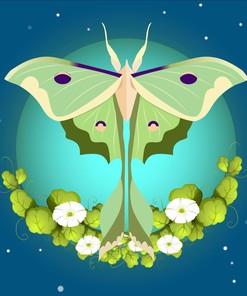 Luna Moth Nature Shower Curtain - Unique Shower Curtains