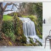 Lush Rainforest Shower Curtain with Vibrant Tree Prints and Waterfall for a Serene and Relaxing Bathroom