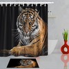 Lying Tiger Shower Curtain In Black Background, Perfect For Any Wildlife-Themed Bathroom Decor