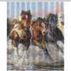 Machine Washable Horse Shower Curtain with Oil Painting Fabric and Rustproof Hooks for Bathroom Decor - Unbranded