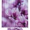 Magnolia Flower In Blossom Print Shower Curtain, Waterproof Bathroom Decor