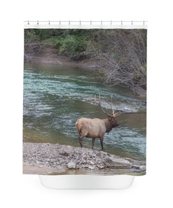 Majestic Elk Shower Curtain, Lodge-Style Bathroom Decor