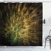 Majestic Peacock Feather Shower Curtain For A Bold Bathroom Decor, Royal Bathroom Accessories