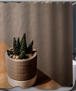 Make Your Bathroom Feel More Vibrant With This Minimalist Decorative Succulent Potted Shower Curtain
