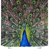 Male Peacock Portrait Shower Curtain - Animal Themed Bathroom Decor