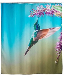 Managua Hummingbird Print Shower Curtain for Bathroom Decor