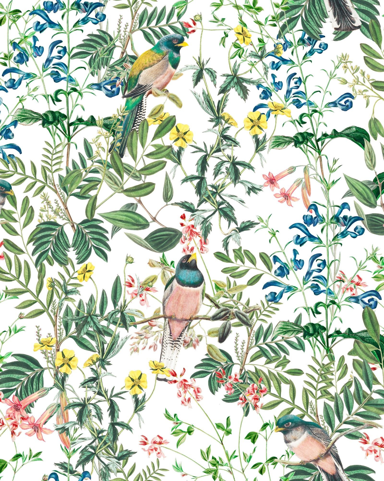 Maximalist Nature-Inspired Bird and Leaves Print Shower Curtain for Your Bathroom