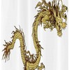 Medieval Dragon Shield Shower Curtain Stall