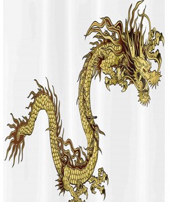 Medieval Dragon Shield Shower Curtain Stall