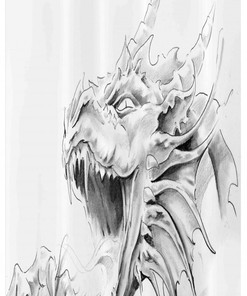 Medieval Myths And Legends Dragon Stall Shower Curtain For A Majestic Bathroom