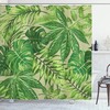 Mexican Texas Cactus Plants Spikes Cartoon Like Print Green Shower Curtain