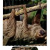 Minimalist Sloth Pattern Shower Curtain, Contemporary and Chic Bathroom Decor 