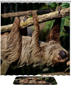 Minimalist Sloth Pattern Shower Curtain, Contemporary and Chic Bathroom Decor