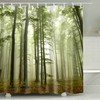 Misty Forest Shower Curtain For A California Redwood Bathroom