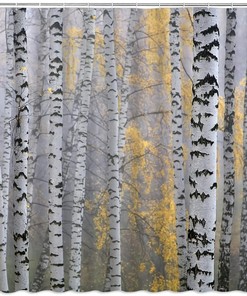 Misty Mottled Trunk Woods Wild Nature Romantic Country Autumn Shower Curtain