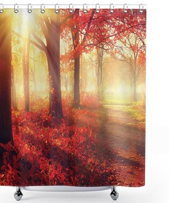 Misty Old Forest Print Shower CurtainDreamy Bathroom Decor for Women & Nature Lovers