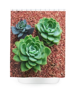 Modern Bathroom Decor with Succulent AI Art Print, Abstract Art Botanical Shower Curtain