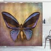 Monarch Butterfly Print Shower Curtain Set - Vintage And Rustic Bathroom Decor