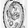Monk Stable Medieval Branches Dragon Shower Curtain