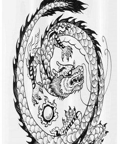 Monk Stable Medieval Branches Dragon Shower Curtain