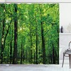 Mother Earth Environment Picture Shower Curtain With Woodland Tree Forest Jungle In Sunny Day
