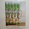 Motion Monkey Palm Trees and Bright Colors Unique Shower Curtain for Fun Bathroom Decor
