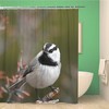 Mountain Chickadee Bird Shower Curtain - American Conservation Ornithology Passerinees Design