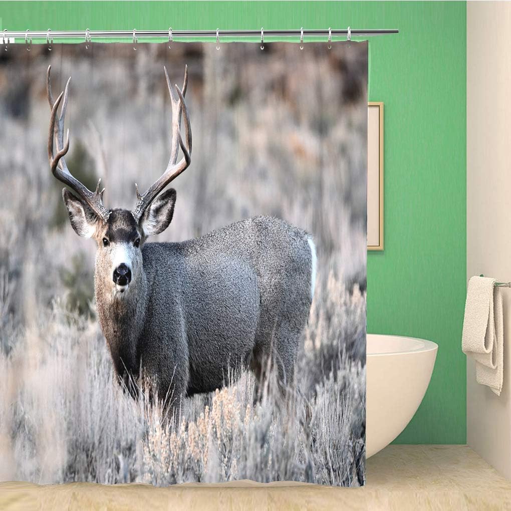 Mule Deer Shower Curtain with Big Buck Design, Hunting Bathroom Decor