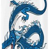 Mythical Creature Dragon Shower Curtain Bathroom Decoration 