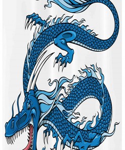 Mythical Creature Dragon Shower Curtain Bathroom Decoration