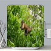 Nature'S Beauty Fabric Shower Curtain Featuring A Tufted Capuchin Monkey In Brazil'S Pantanal