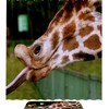 Naughty Giraffe Unique Shower Curtain With Microfiber Accents, Machine Washable