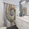Nautilus Shell Shower Curtain with Ocean and Beach Elements for Your Bathroom Decor - Golden Ratio and Fibonacci Pattern