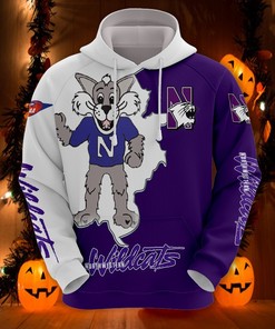 Northwestern Wildcats Zip Hoodie 3D - Long Sleeve Gift For Fan