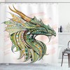 Nostalgic And Vintage Dinosaur Shower Curtain With A Distressed Design For A Unique And Cool Bathroom Look