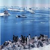 Ocean Glacier Penguins Shower Curtain with North and South Pole and Marine Organism Theme for Coastal Bathroom Decor