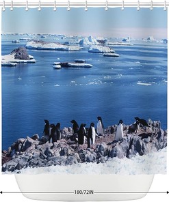 Ocean Glacier Penguins Shower Curtain with North and South Pole and Marine Organism Theme for Coastal Bathroom Decor