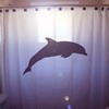 Oceanic Print Dolphin Shower Curtain For Your Marine Life Bathroom