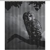 Owl Art Animal Print Mandala Shower Curtain for Unique Bathroom Decor
