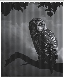 Owl Art Animal Print Mandala Shower Curtain for Unique Bathroom Decor