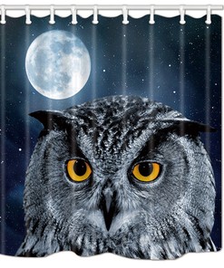 Owl & Full Moon Shower Curtain For A Mystic Bathroom