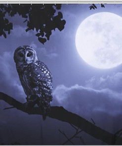 Owl and Moon Print Design Shower Curtain for Bathroom Decor