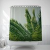 Palm Leaf Art Shower Curtain - Tropical Bathroom Decor