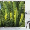 Palm Trees Print Shower Curtain for a Nature-inspired Bathroom