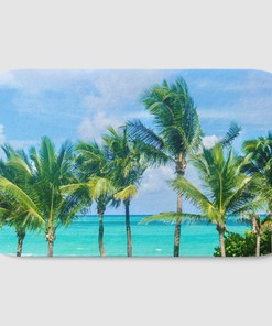 Palm Trees and Beach Photo Shower Curtain for Tropical Bathroom Decor