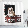Patriotic English Bulldog Print Shower Curtain, Animal Lover Bathroom Accessory 