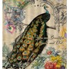 Peacock Flower Quotes Motto Shower Curtain for Beautiful Bathroom