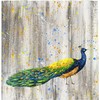 Peacock Portrait Vintage Rustic Shower Curtain - Vintage Bathroom Shower Curtains